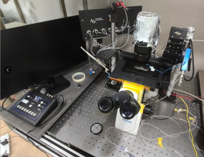 离子通道靶点的电流检测